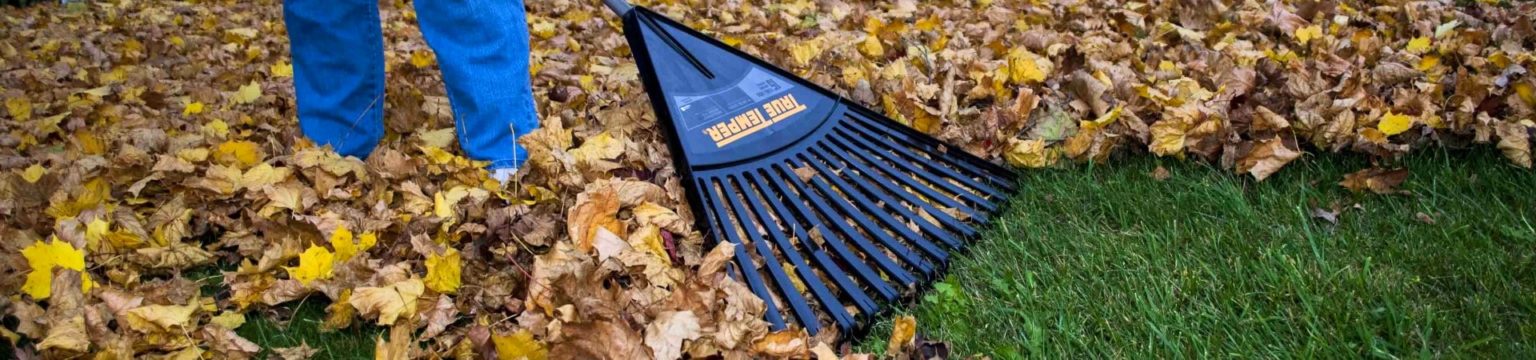 Best Rakes For Pine Needles Reviewed Feb