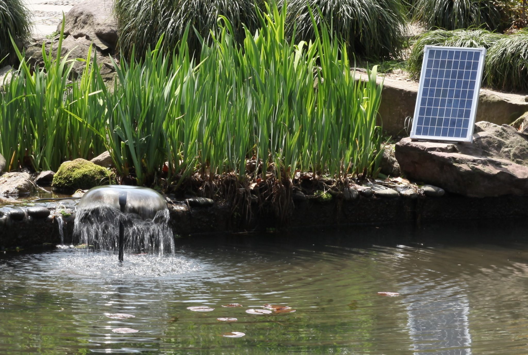 6 Best Solar Pond Pumps Reviewed Fall 2023 2709