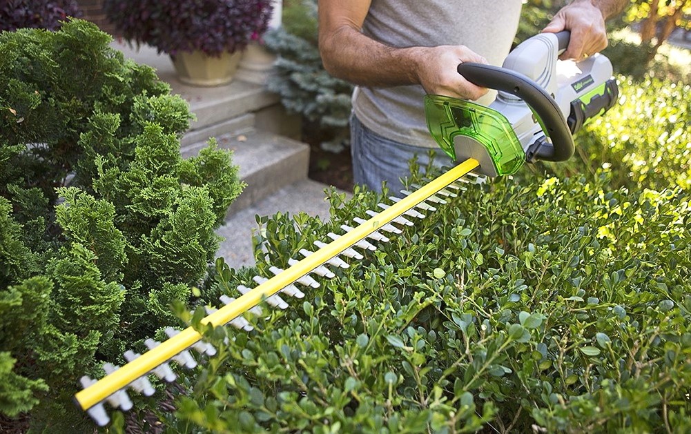 8 Best Cordless Hedge Trimmers Reviewed (Winter 2024)