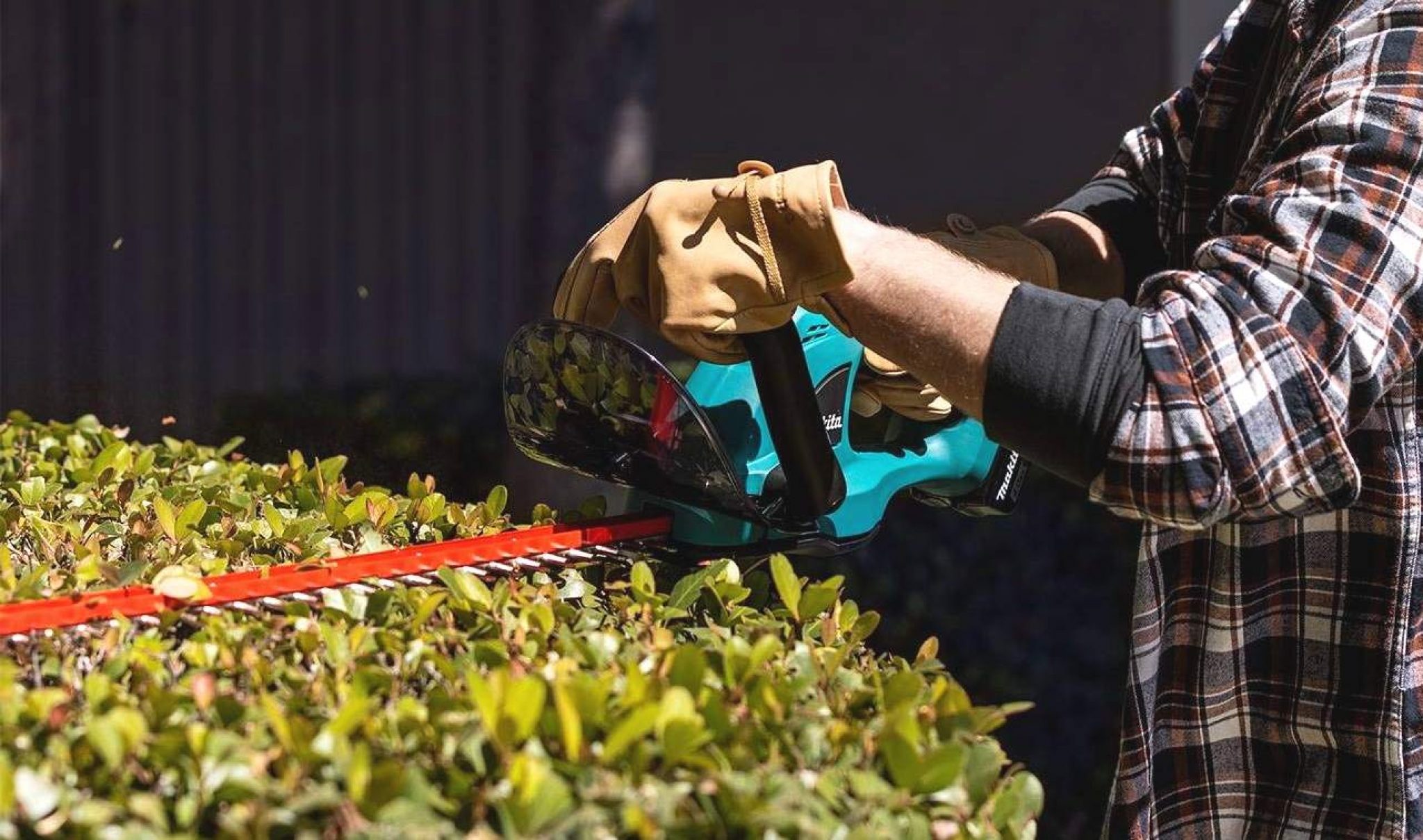 8 Best Cordless Hedge Trimmers Reviewed (Winter 2024)