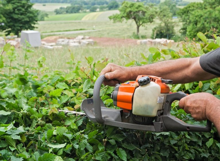 11 Best Gas Hedge Trimmers Reviewed (Winter 2024)