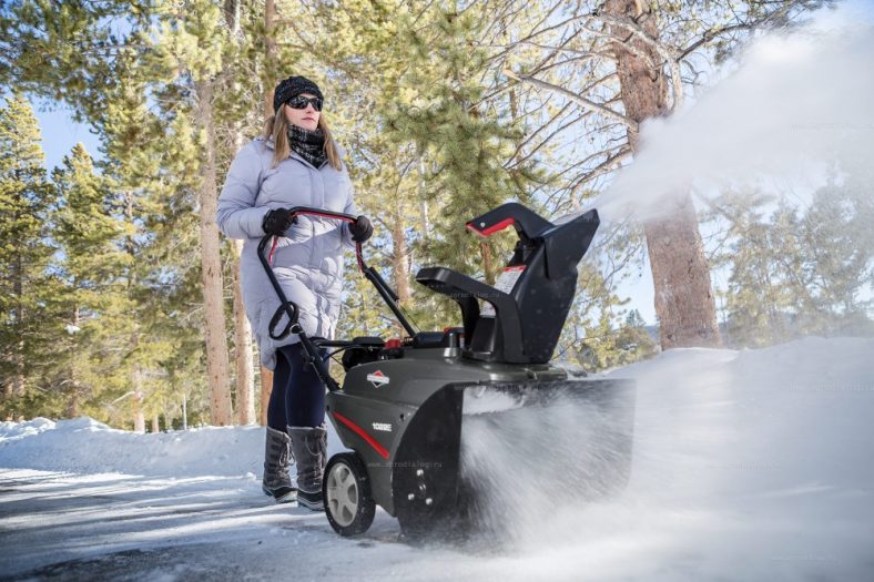 5 Best Briggs and Stratton Snowblowers Reviewed (Fall 2023)