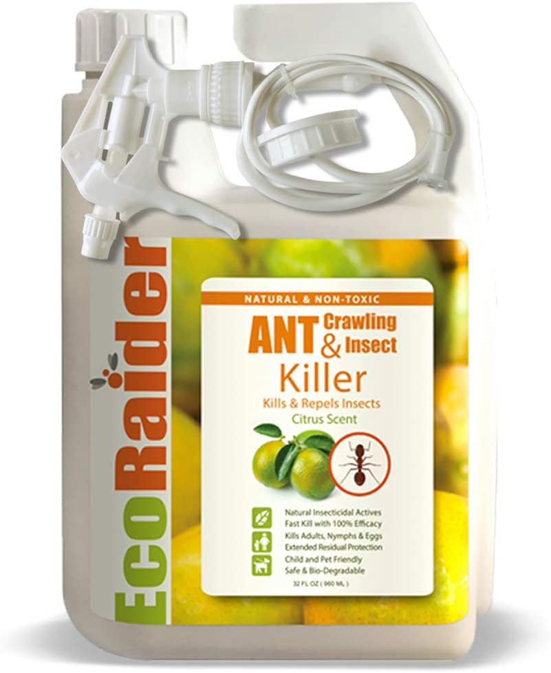 EcoRaider Ant Killer 