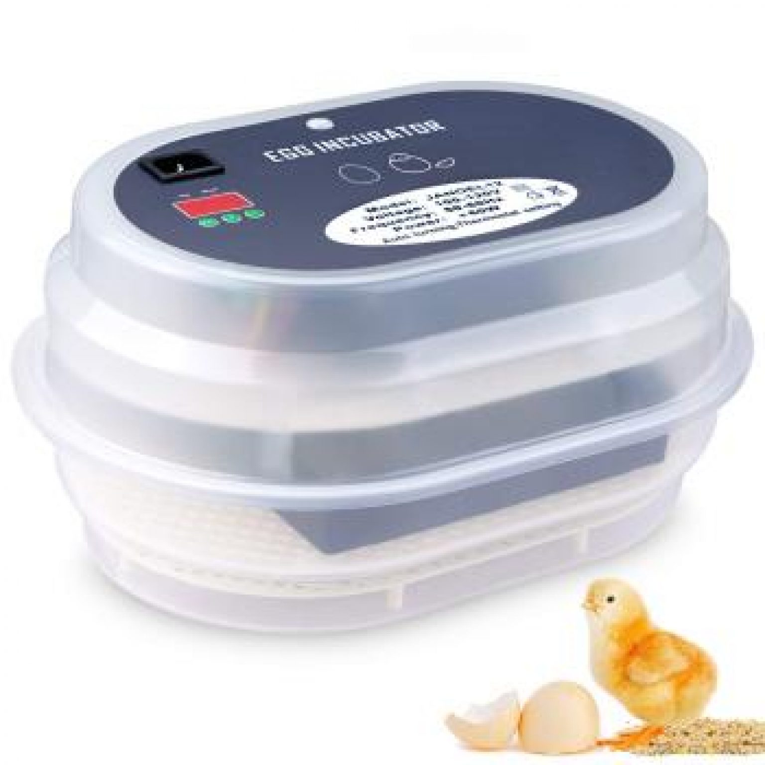 buying an incubator for eggs