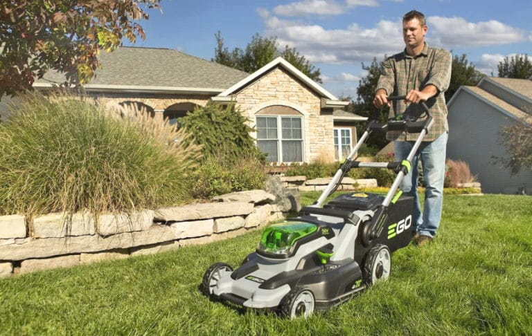 11 Best Lawn Mowers For Small Yards Reviewed (Winter 2024)