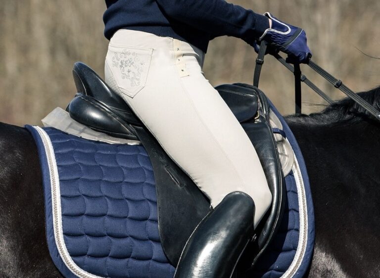 5 Best Dressage Saddles Reviewed (Spring 2024)