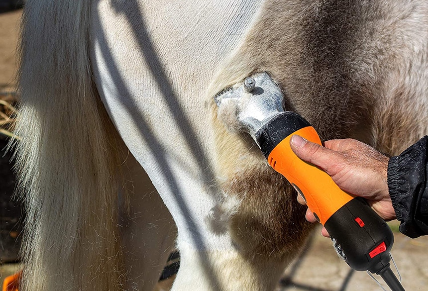 best horse clippers