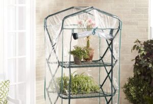 7 Best Indoor Greenhouses Reviewed (Fall 2023)