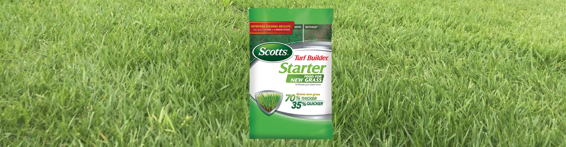 Best Fertilizer For Zoysia Grass | My XXX Hot Girl