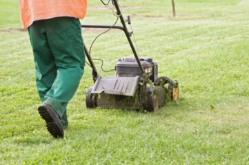 Lawn Mower Mulching vs Side Discharge - Compare and Decide! [Upd. 2024]