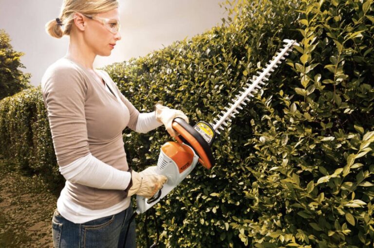 Hedge Trimmer vs Chainsaw Compare and Decide!