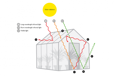 How Does a Greenhouse Stay Warm: Basic Info & Examples