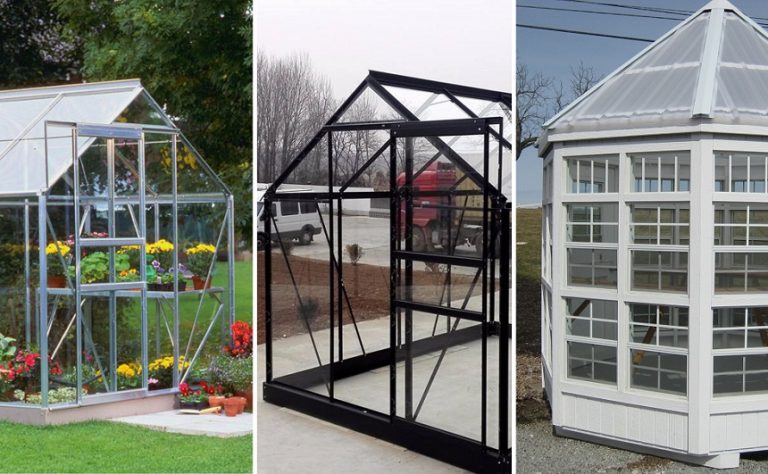 5 Best Glass Greenhouses Reviewed (Fall 2023)